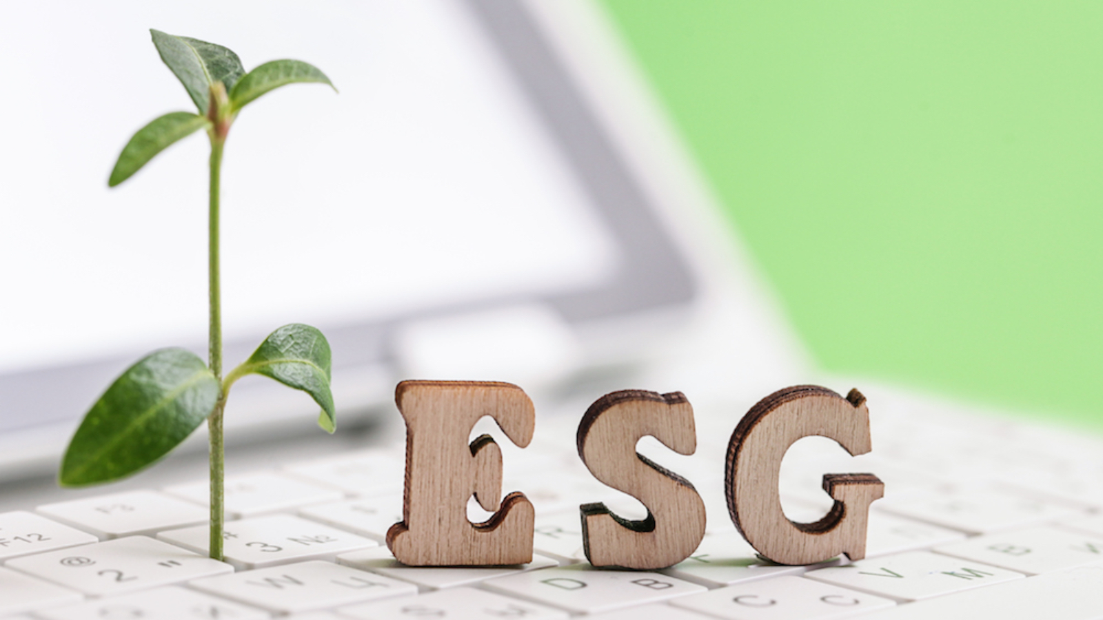 ESG, white computer keyboard, green background. Environmental, Social, Corporate Governance. Socially Responsible Investing. Concept Sustainably. Green investing