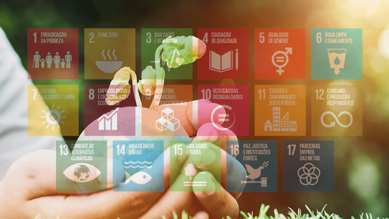 Conheça os 17 Objetivos de Desenvolvimento Sustentável (ODS)