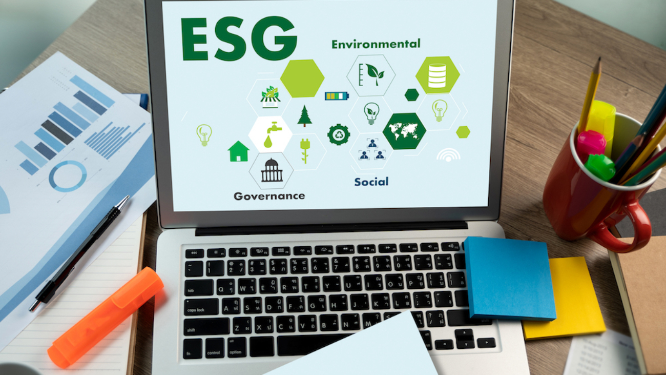 Indicador ESG e o impacto nas empresas