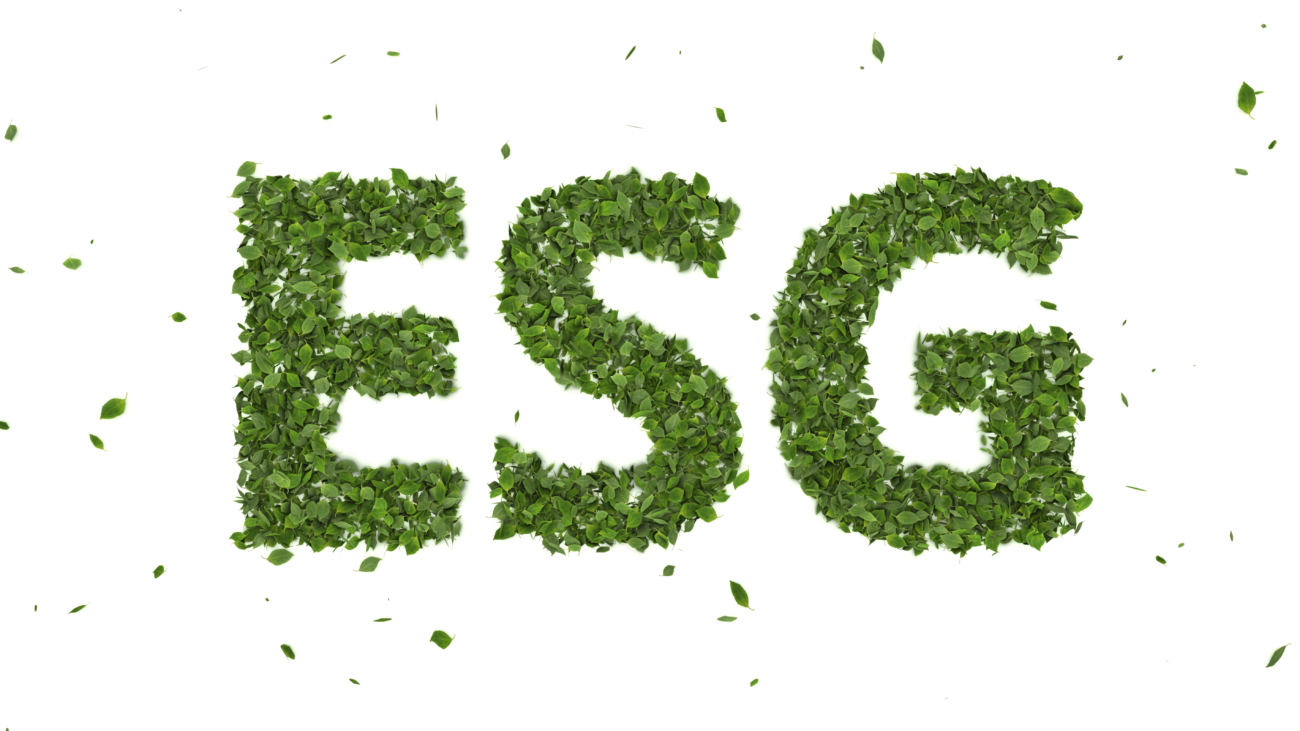 Aspectos ambientais: um dos pilares do ESG
