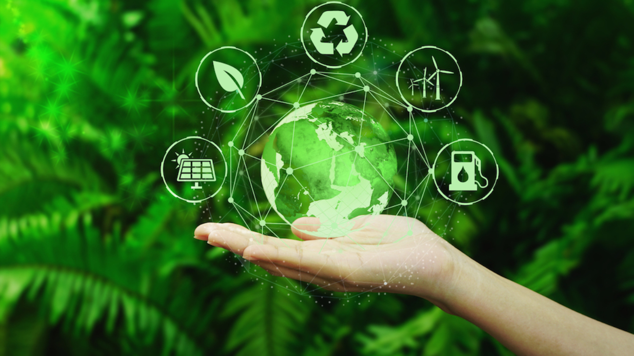 SGS valida soluções do Grupo BMV: Selo de Sustentabilidade Tesouro Verde