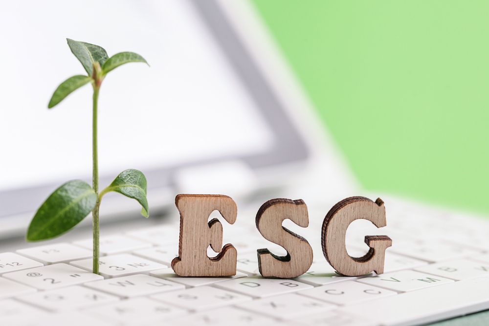 Entenda o que é ESG  XLV Serviços Empresariais